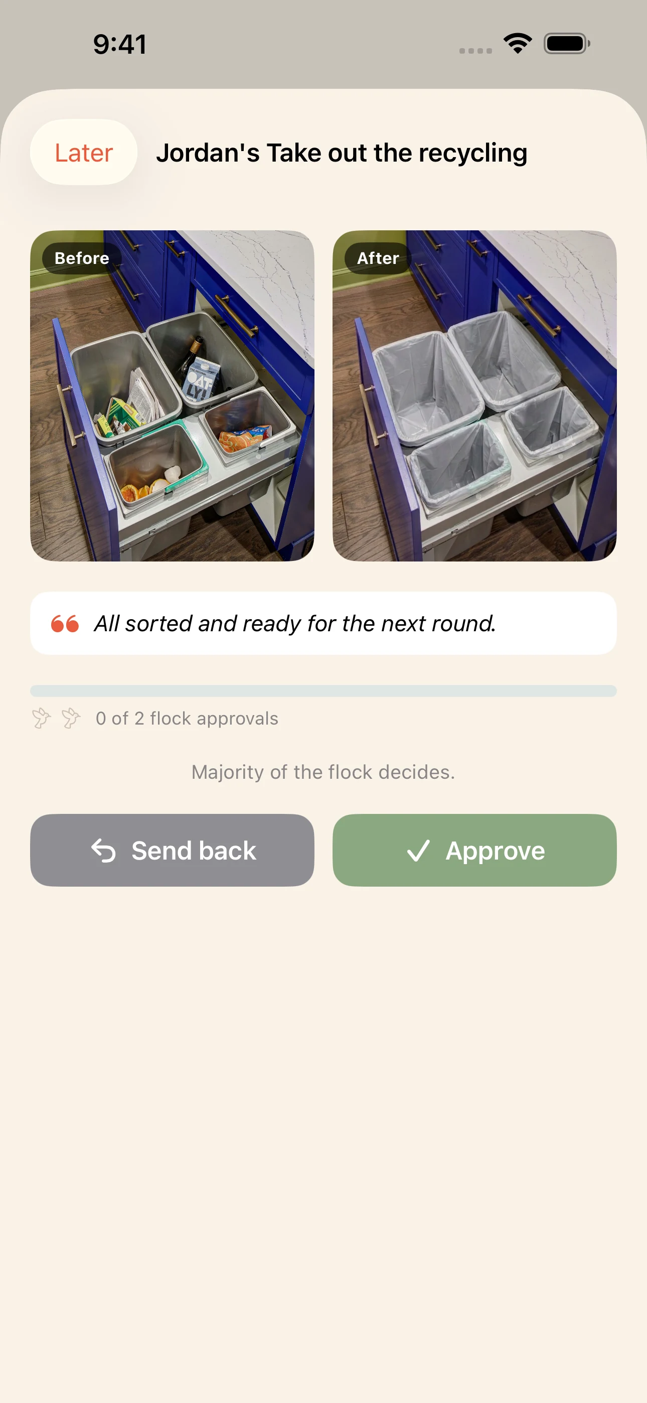 Review detail — before and after photos with approve or send back