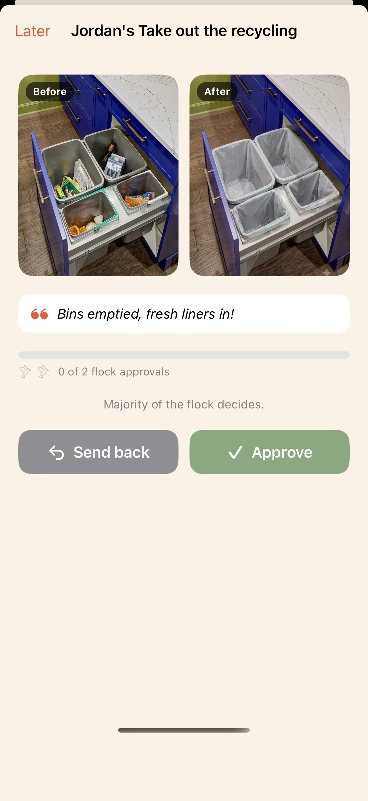 Review detail — before and after photos with approve or send back